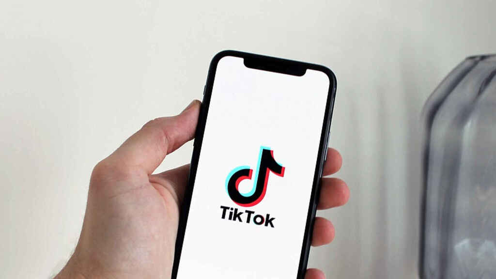 tiktok video downloader

